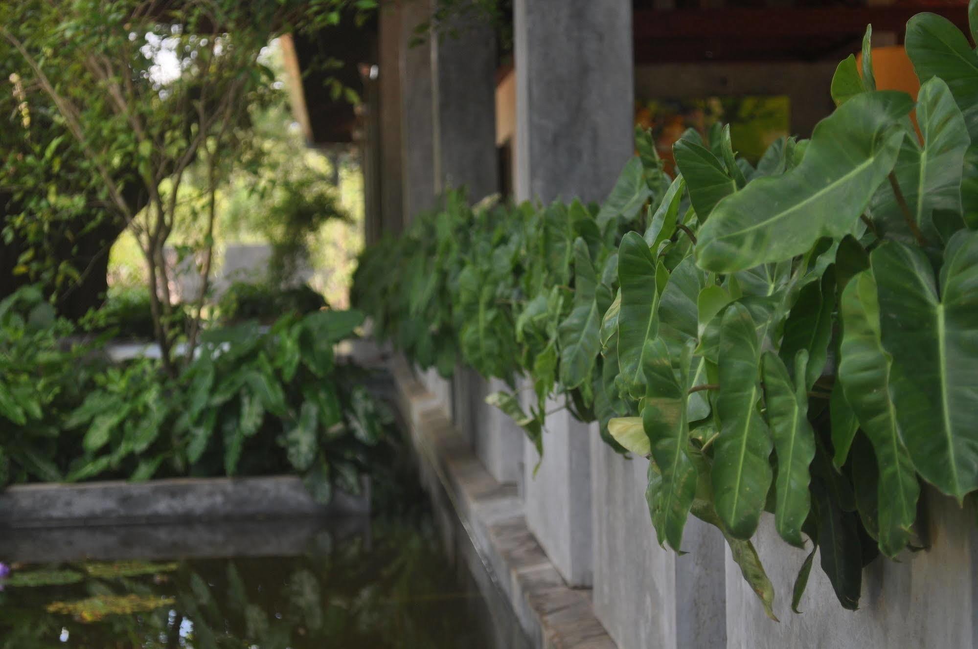 Amaara Forest Hotel Sigiriya Exterior photo