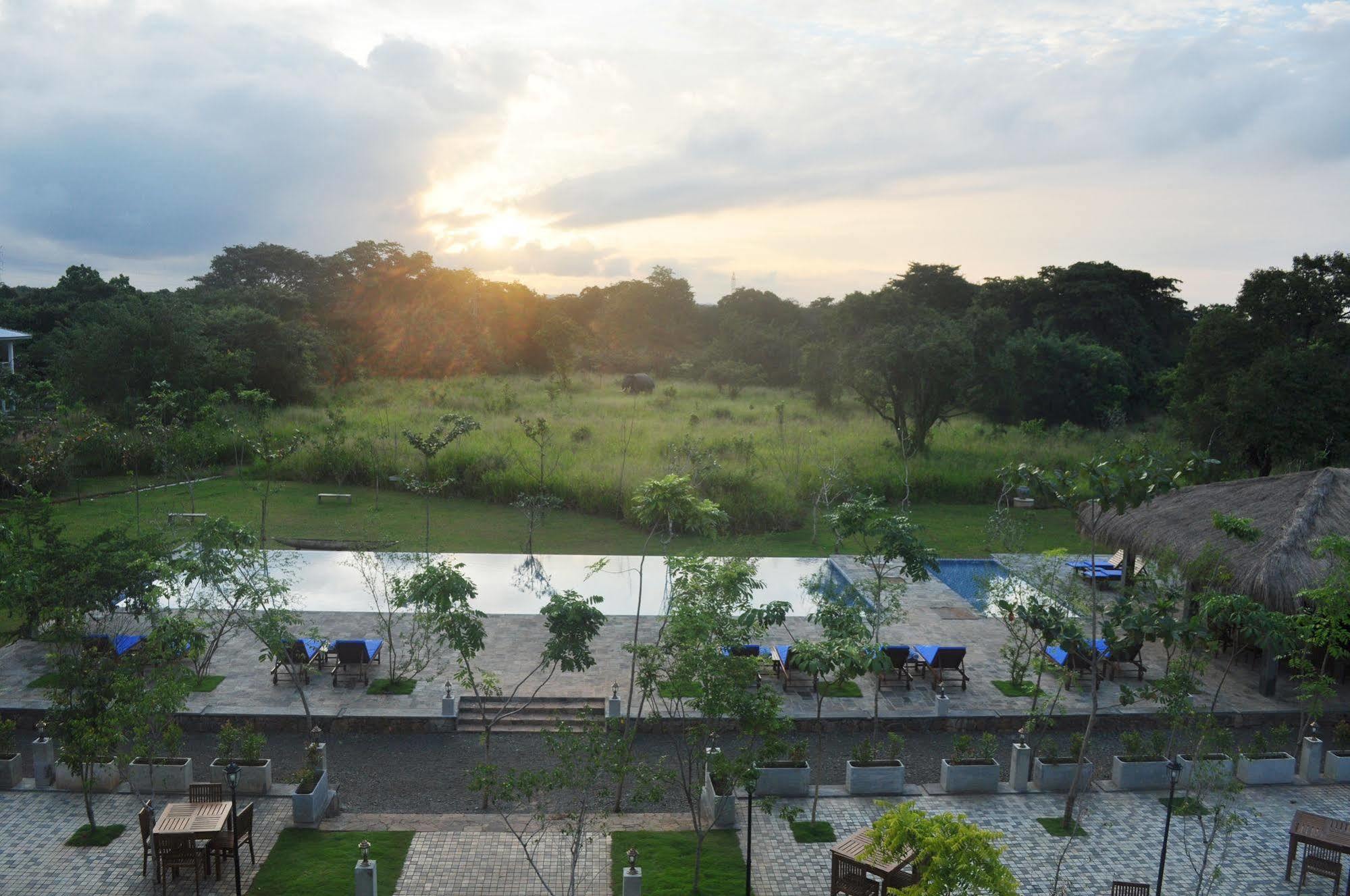 Amaara Forest Hotel Sigiriya Exterior photo
